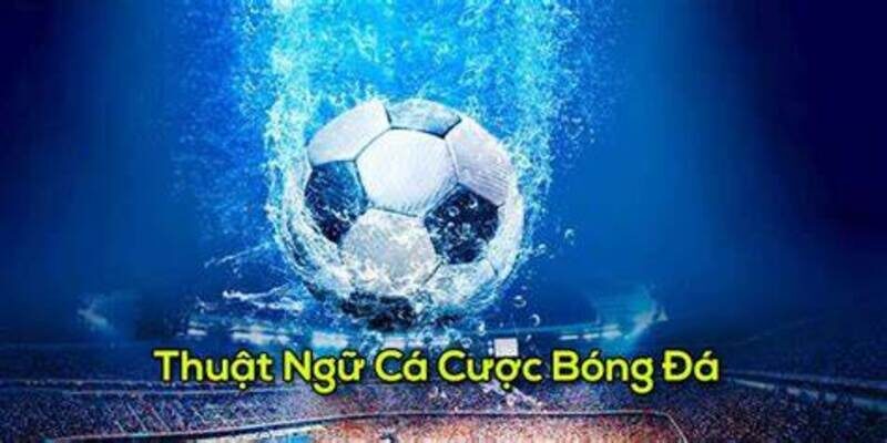 Một số thuật ngữ khác thường gặp khi cá cược